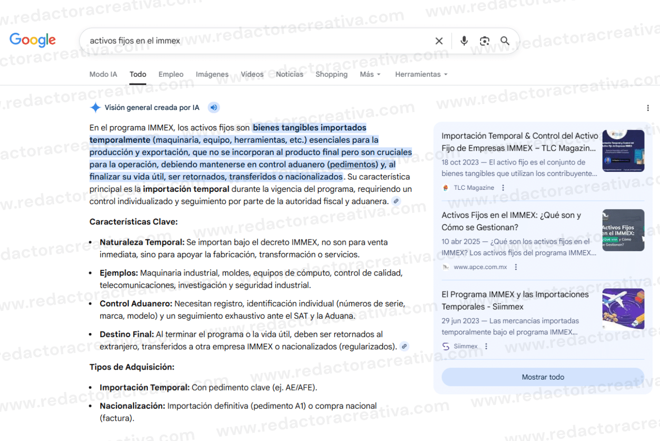 Activos fijos del IMMEX